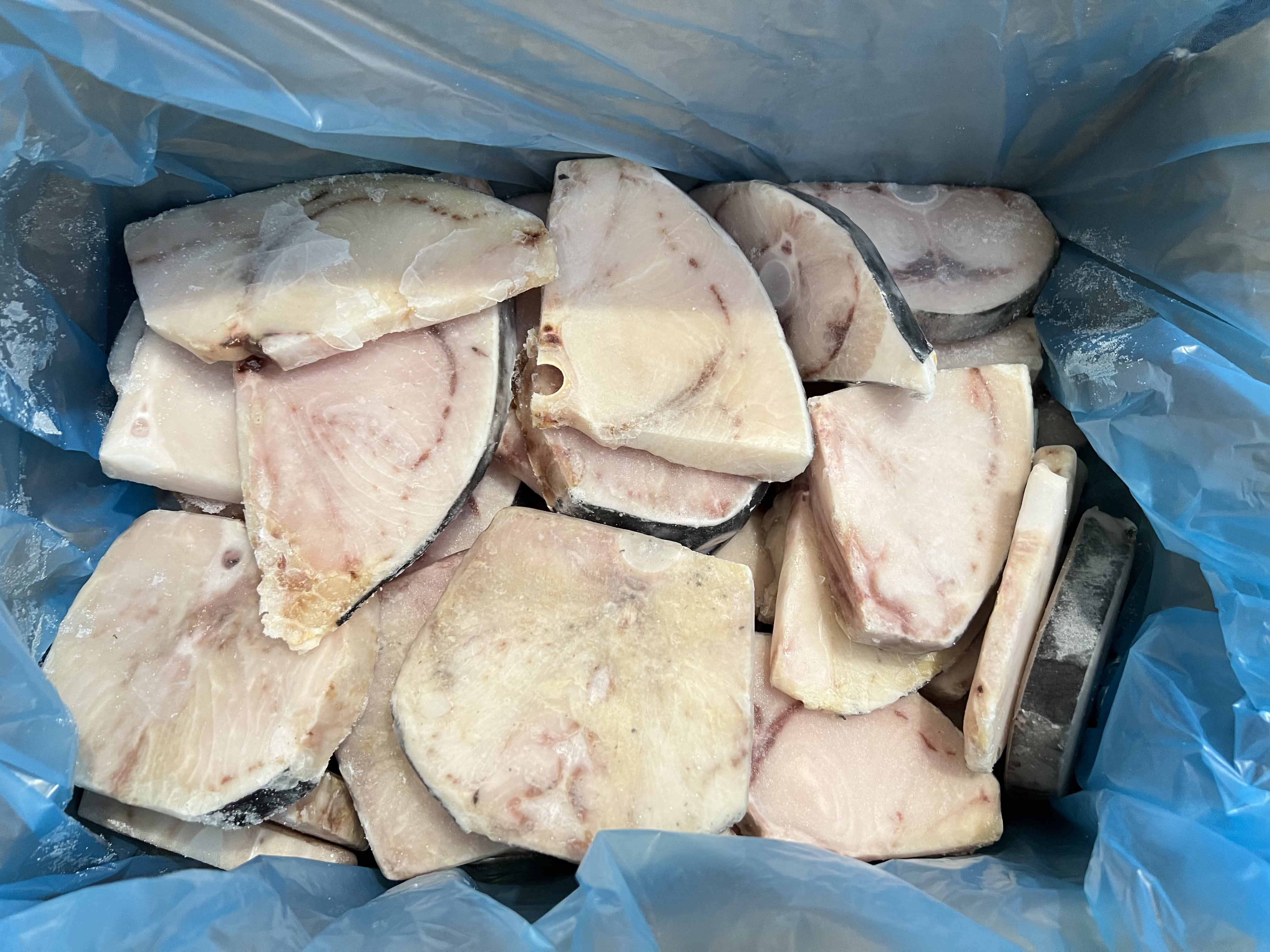 TRANCE SPADA B CONG. 4KG 普通箭鱼片